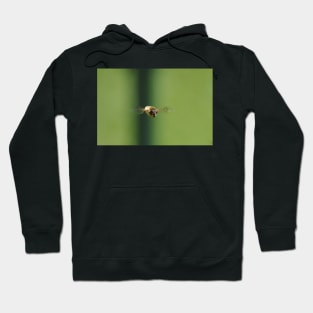 Hover Fly Hoodie